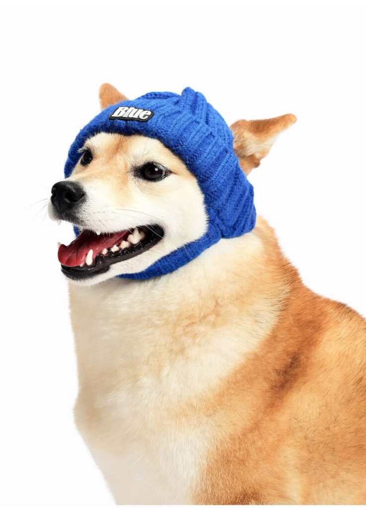 Knit Dog Beanie Hat — Ear-Exposed Winter Pet Hat, Cold Weather Accessory for Small Dogs & Cats