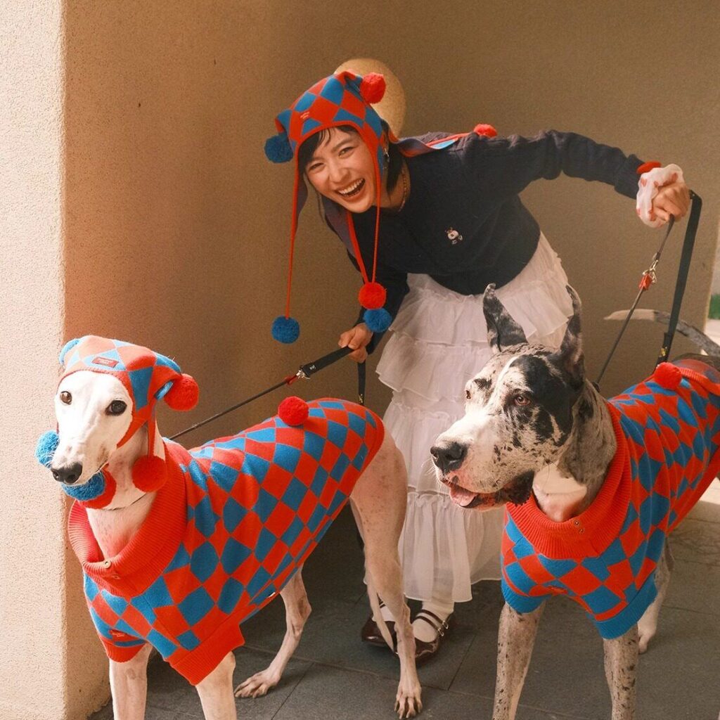 Chunky Knit Dog Sweater Coat — Holiday Pet Outfit, Festive Winter Outerwear for Small Dogs & Cats