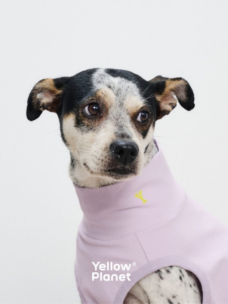 UPF50+ Dog Cooling Sun Shirt — Rapid-Dry UV Protection Pet Shirt, Summer Outdoor Dog Apparel