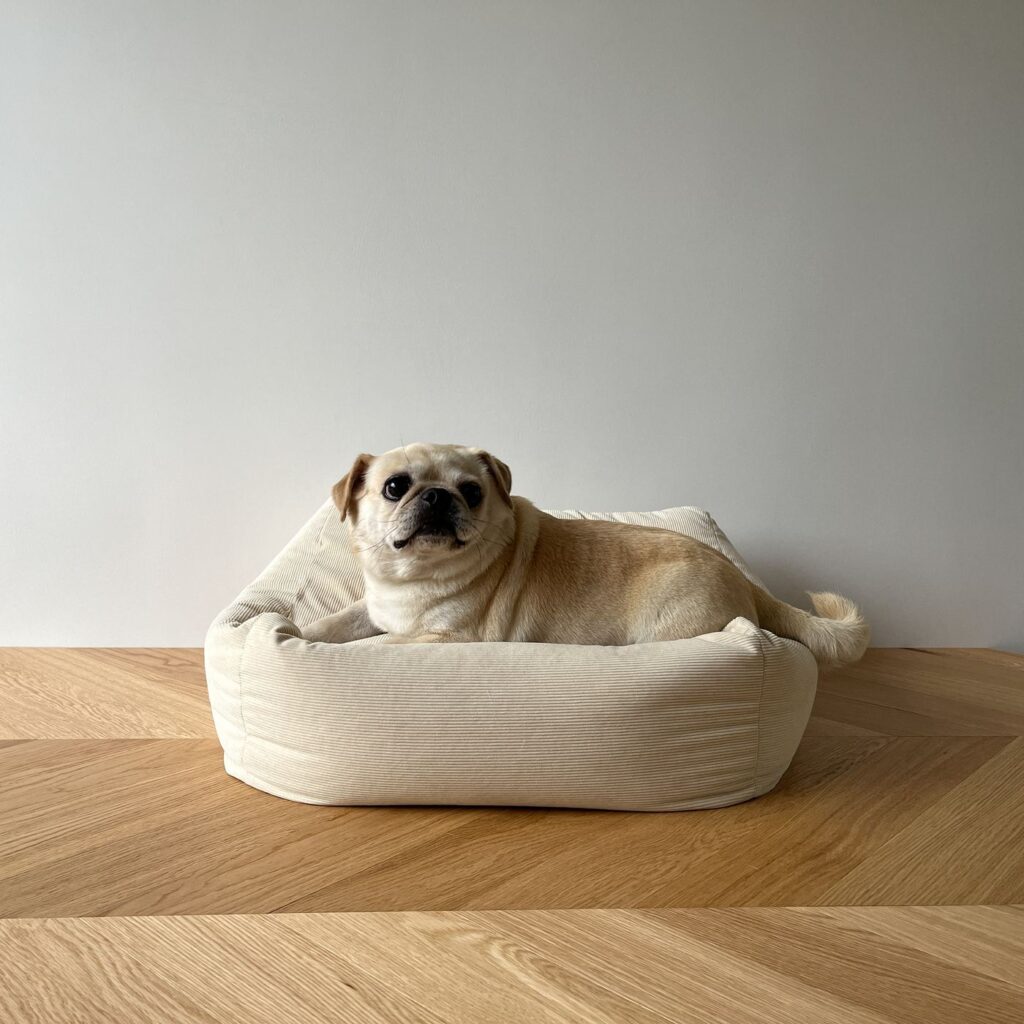 Bean Bag Pet Floor Pouf — Machine Washable Dog & Cat Cushion, Minimalist Home Decor Pet Bed